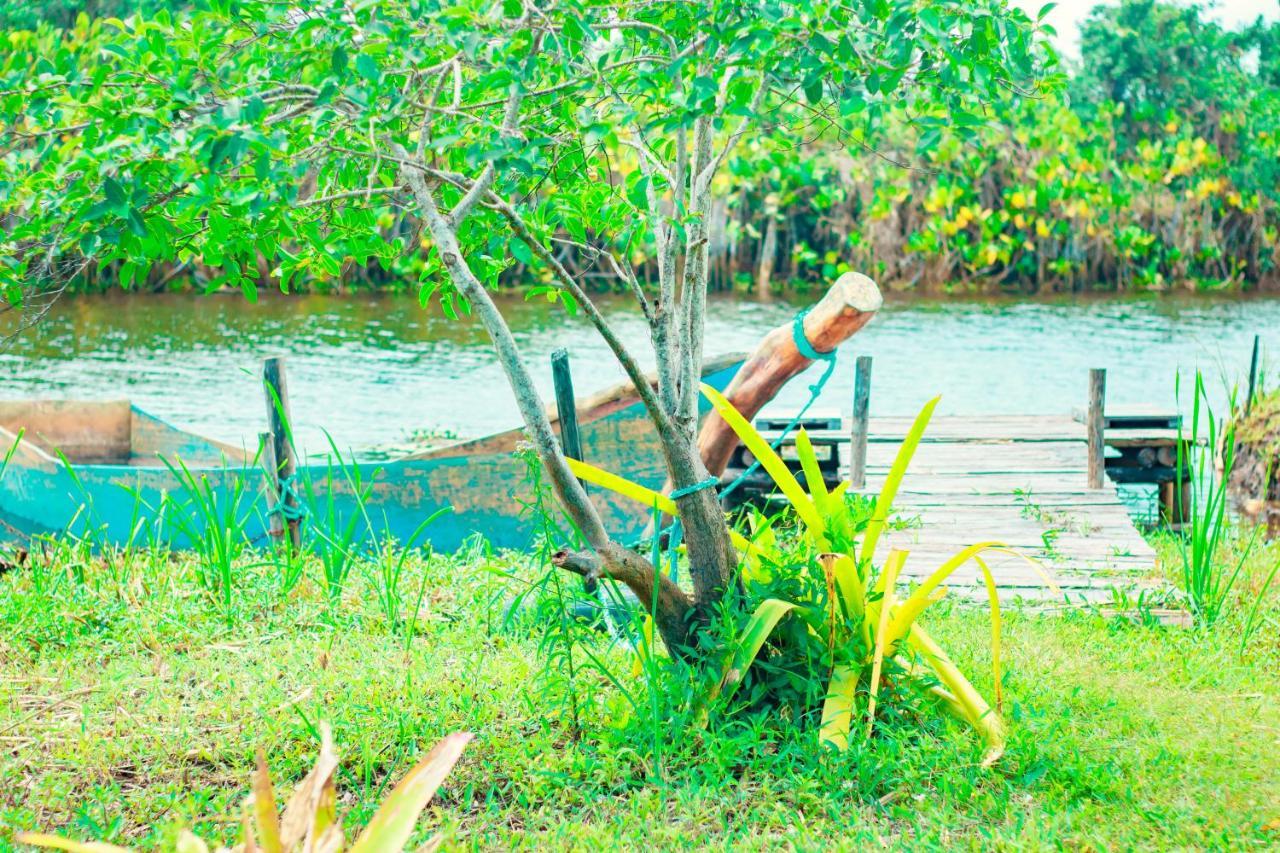 Pousada Mangue Seco إيتوناس المظهر الخارجي الصورة