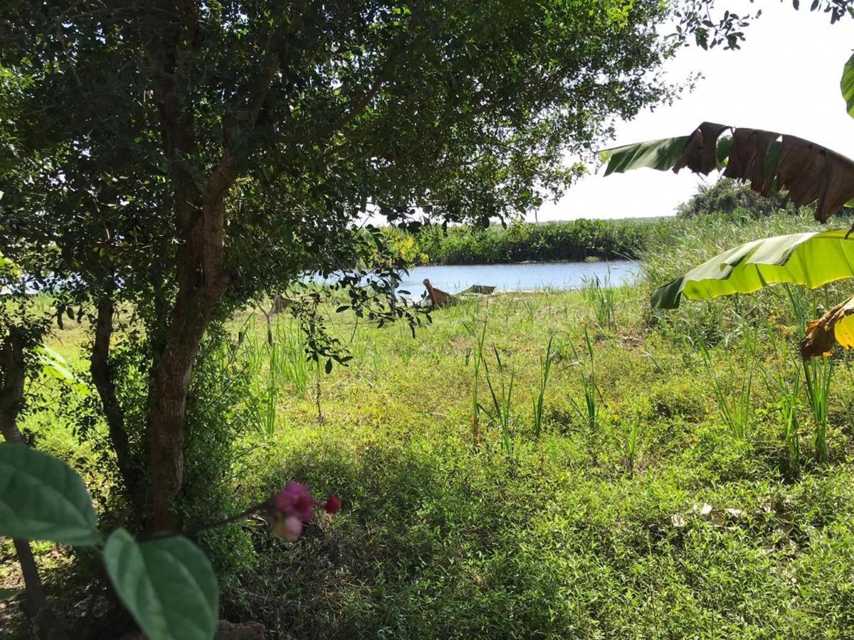 Pousada Mangue Seco إيتوناس المظهر الخارجي الصورة